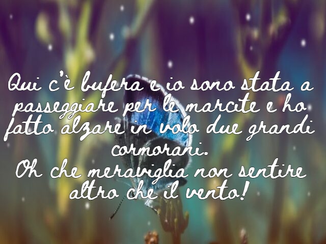 Qui c’è bufera e io sono stata a passeggiare per le marcite e ho fatto alzare in volo due grandi cormorani.Oh che meraviglia non sentire altro che il vento!