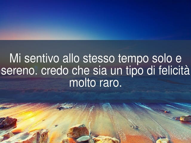 Mi sentivo allo stesso tempo solo e sereno. Credo che sia un tipo di felicità molto raro.