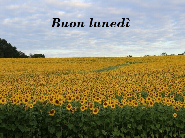 Buon lunedì