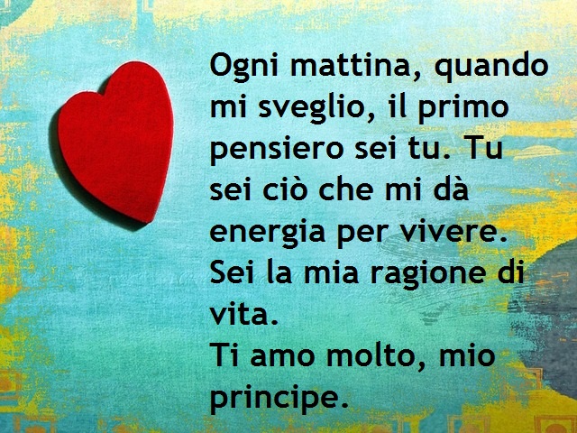Ogni mattina, quando mi sveglio, il primo pensiero sei tu. Tu sei ciò che mi dà energia per vivere. Sei la mia ragione di vita. Ti amo molto, principe.