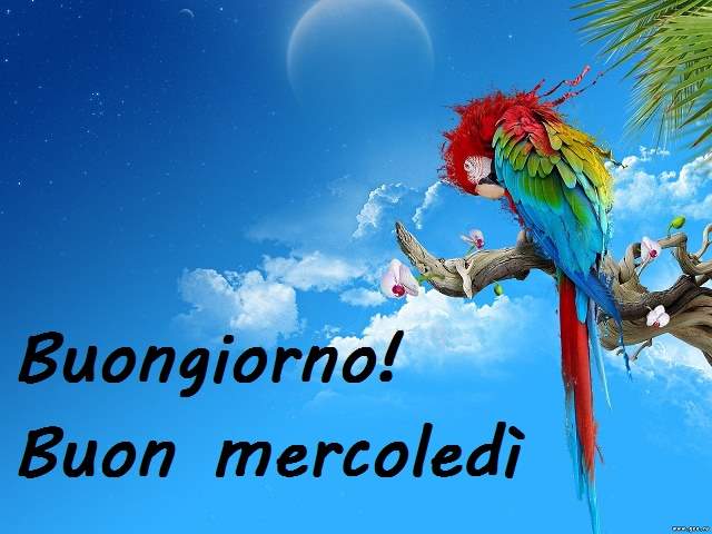Buongiorno! Buon mercoledì