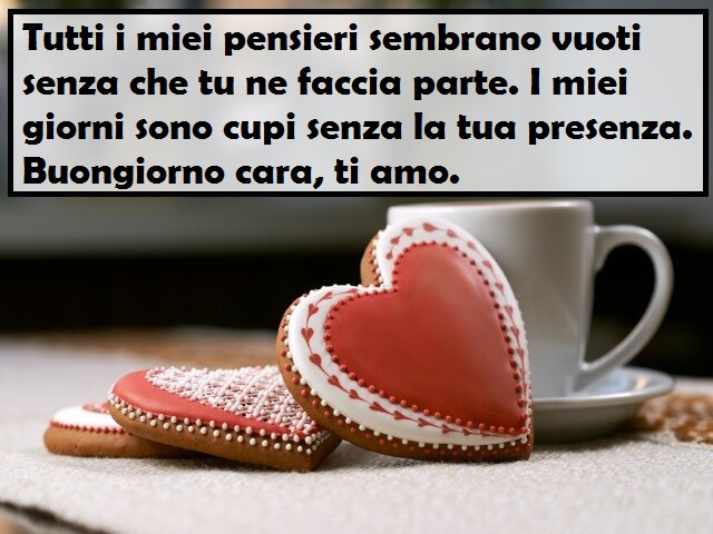 Tutti i miei pensieri sembrano vuoti senza che tu ne faccia parte. I miei giorni sono cupi senza la tua presenza. Buongiorno cara, ti amo.