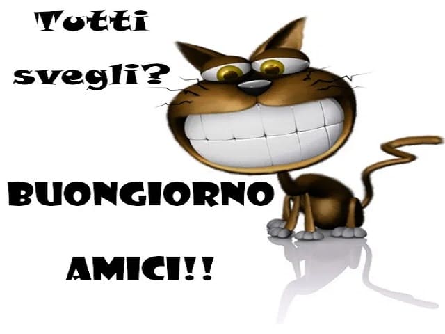 Tutti svegli? Buongiorno amici!!
