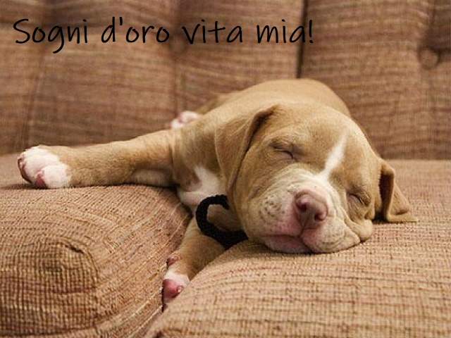 Sogni d'oro vita mia!