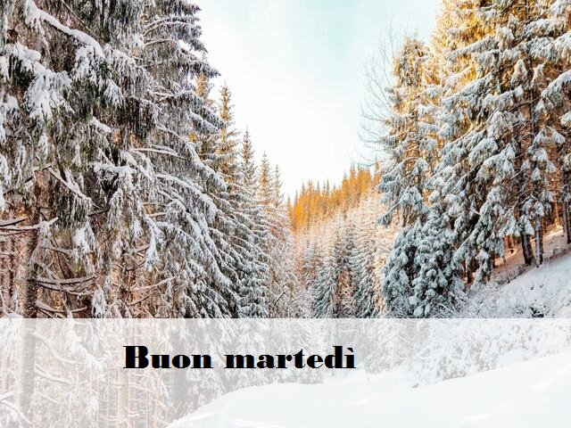 Buon martedì