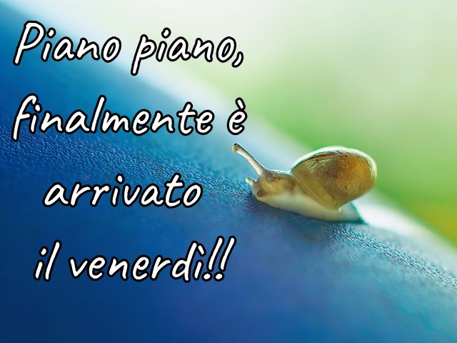 Piano piano, finalmente è arrivato il venerdì!!