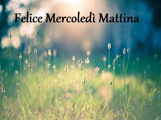 Felice mercoledì mattina