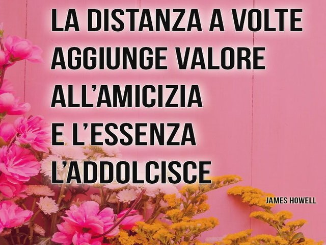 La distanza a volte aggiunge valore all'amicizia e l'essenza l'addolcisce. (J.Howell)