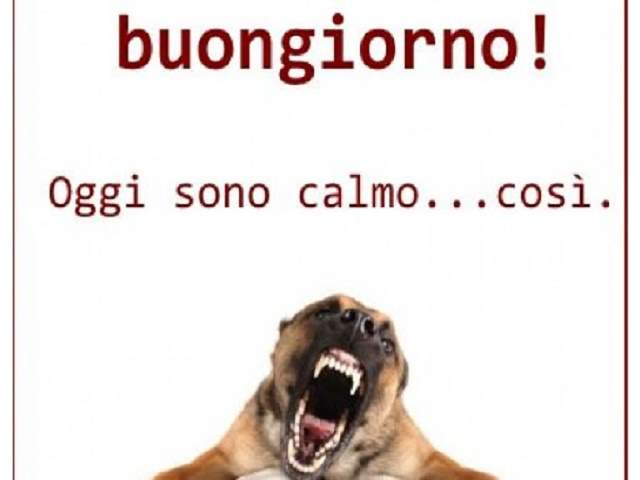 Buongiorno! Oggi sono calmo...così...
