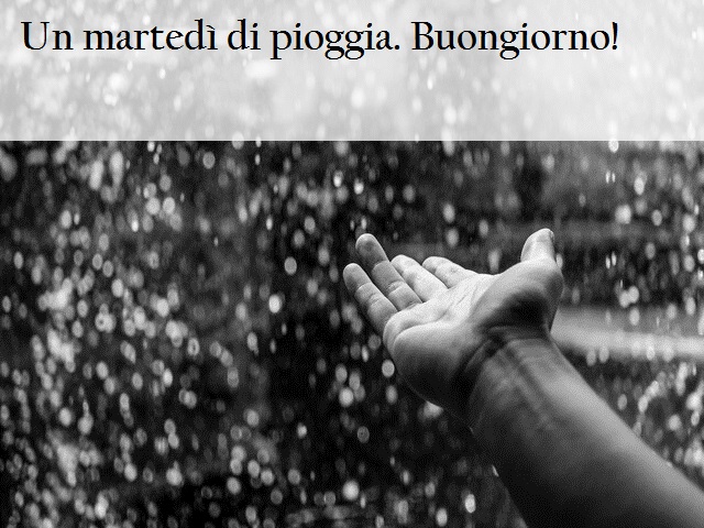 Che martedì di pioggia! Buongiorno!
