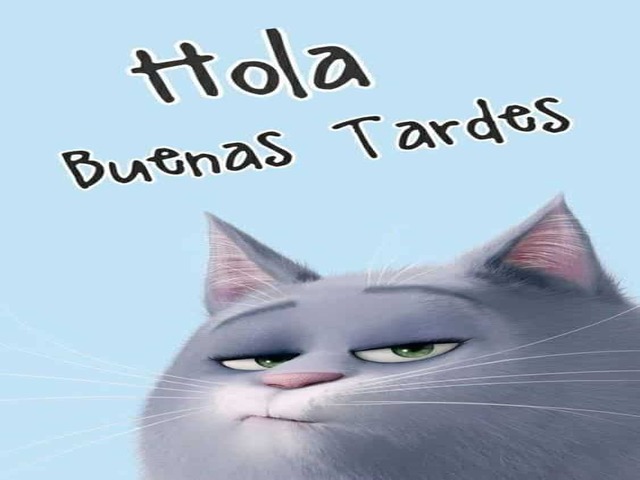 Hola buenas tardes. (Ciao! Buon pomeriggio)