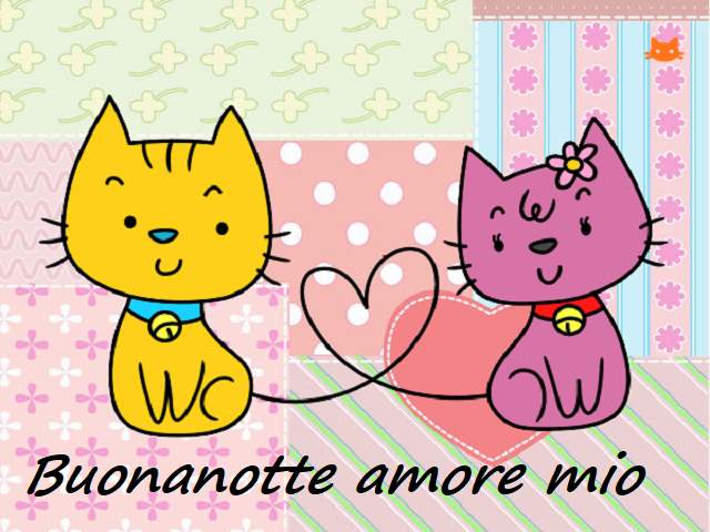 Buonanotte amore mio.