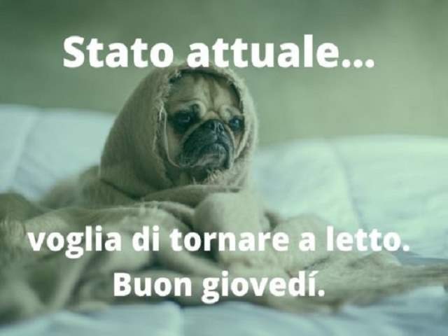Stato attuale... voglia di tornare a letto. Buon Giovedì.