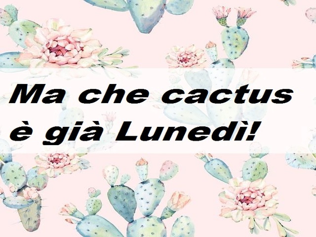 Ma che cactus è già Lunedì!