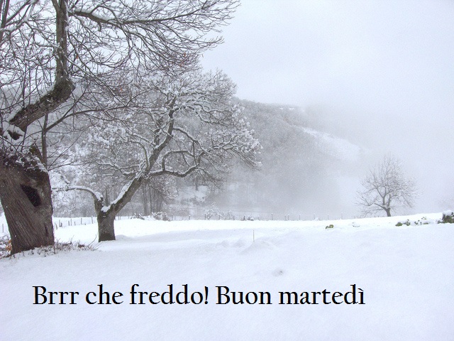 Brrr che freddo! Buon martedì