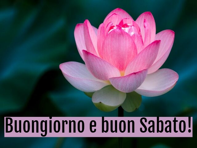 Buongiorno e buon Sabato!