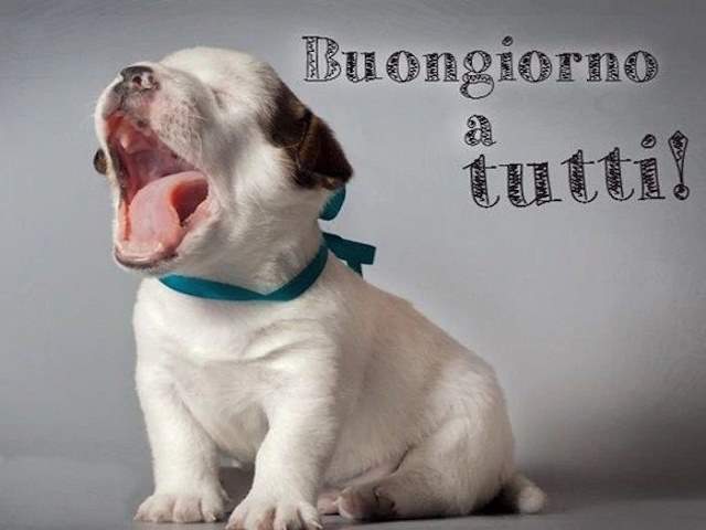 Buongiorno a tutti!