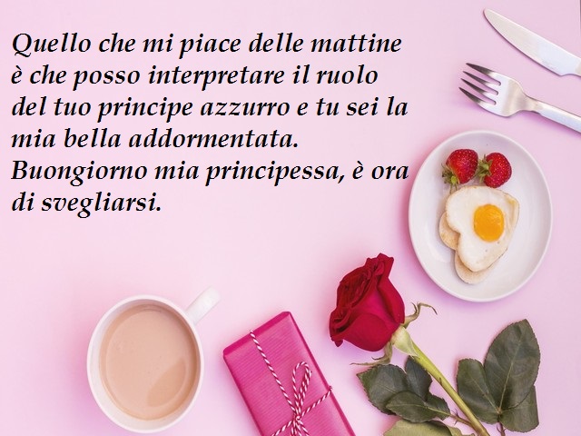 Quello che mi piace delle mattine è che posso interpretare il ruolo del tuo principe azzurro e tu sei la mia bella addormentata. Buongiorno mia principessa, è ora di svegliarsi.
