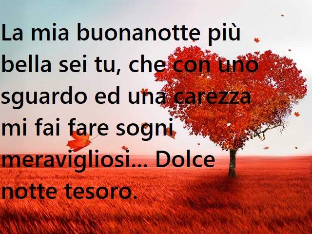 La mia buonanotte più bella sei tu, che con uno sguardo ed una carezza mi fai fare sogni meravigliosi... Dolce notte tesoro.