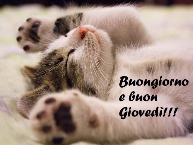 Buongiorno e buon Giovedì!!!