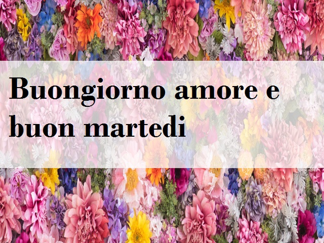 Buongiorno amore e buon martedì