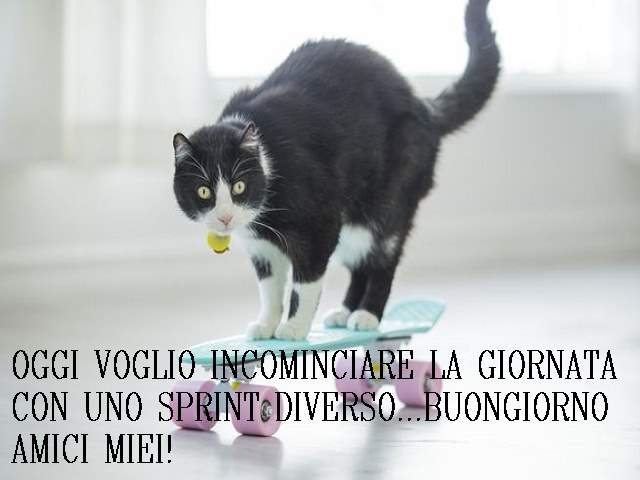 Oggi voglio iniziare la giornata con uno sprint diverto...buongiorno amici miei!