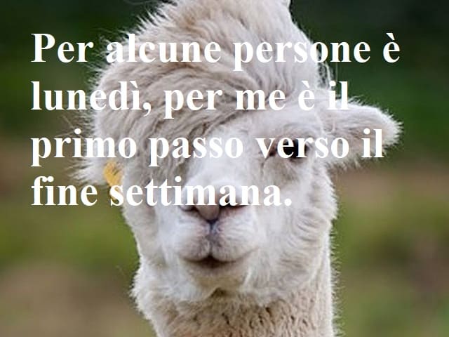 Per alcune persone è lunedì, per me è il primo passo verso il fine settimana.