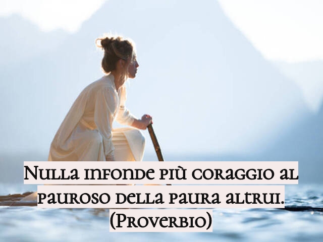 Nulla infonde più coraggio al pauroso della paura altrui.(Proverbio)