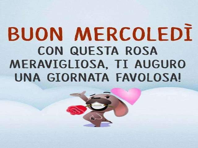 Buon mercoledì, con questa rosa meravigliosa, ti auguro una giornata favolosa!