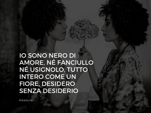 Io sono nero di amore, né fanciullo né usignolo, tutto intero come un fiore, desidero senza desiderio