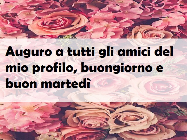Auguro a tutti gli amici del mio profilo, buongiorno e buon martedì