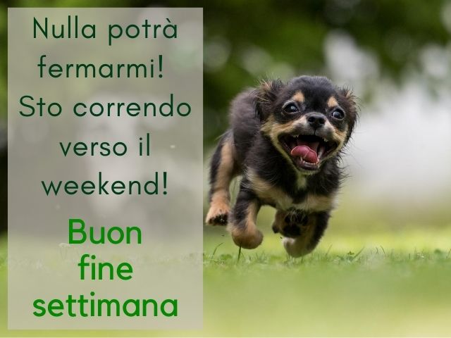 Nulla potrà fermarmi! Sto correndo verso il weekend!Buon fine settimana.