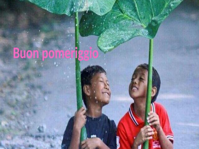 Buon pomeriggio: 118 immagini, frasi e gif animate per stupire chi vogliamo bene