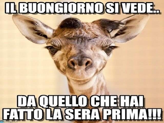 Il buongiorno si vede...da quello che hai fatto la sera prima!!!