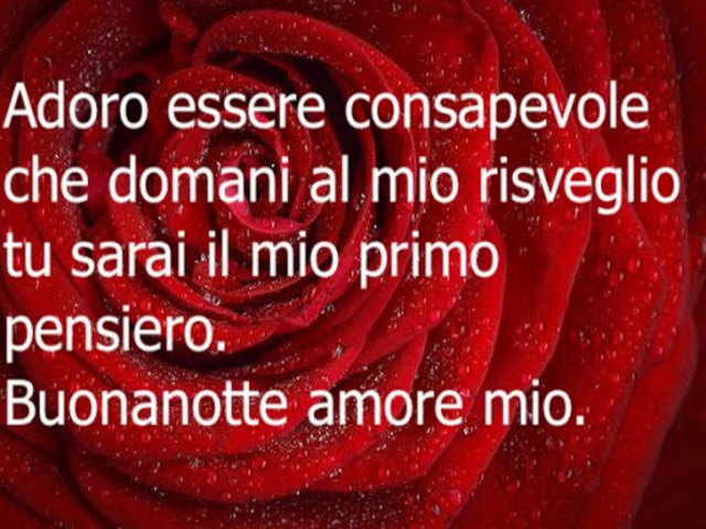 Adoro essere consapevole che domani al mio risveglio tu sarai il mio primo pensiero. Buonanotte amore mio.