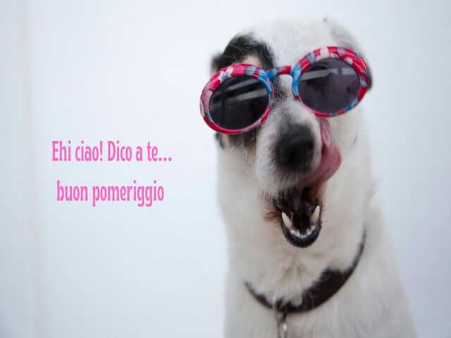 Ehi ciao! Dico a te...buon pomeriggio.