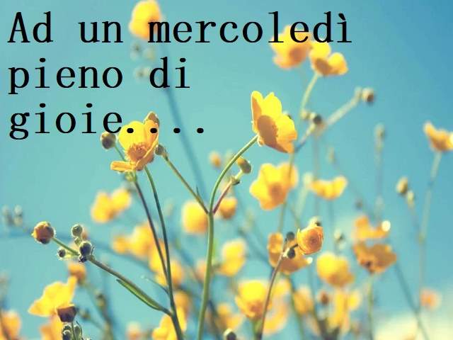 Ad un mercoledì pieno di gioie...