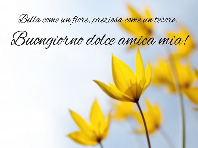Bella come un fiore, preziosa come un tesoro.Buongiorno dolce amica mia!