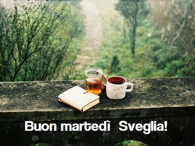 Buon martedì Sveglia!