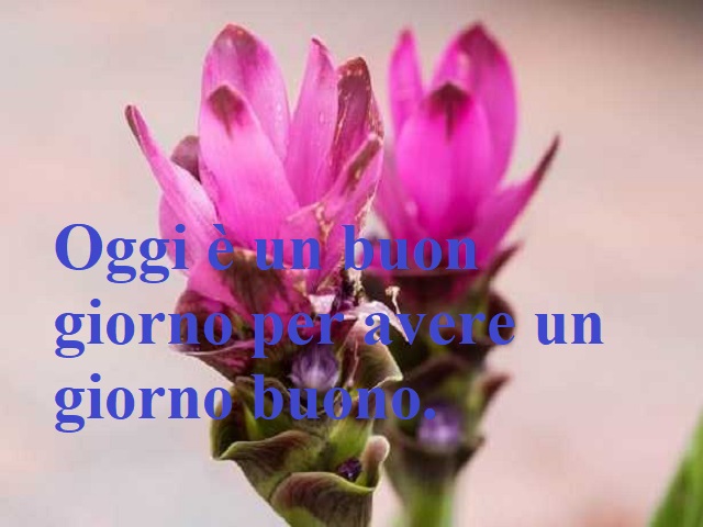 Oggi è un buon giorno per avere un giorno buono.