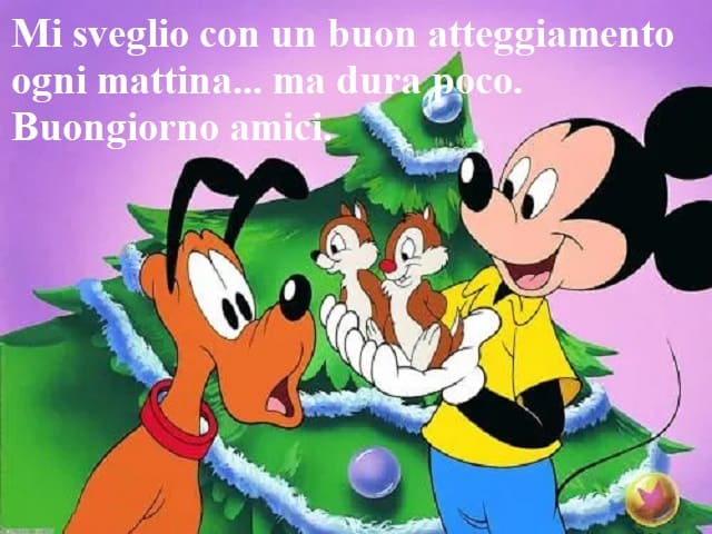 Mi sveglio con un buon atteggiamento ogni mattina... ma dura poco. Buongiorno amici.