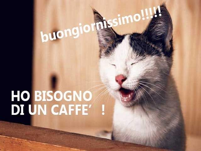 Buongiornissimo! Ho bisogno di un caffè!