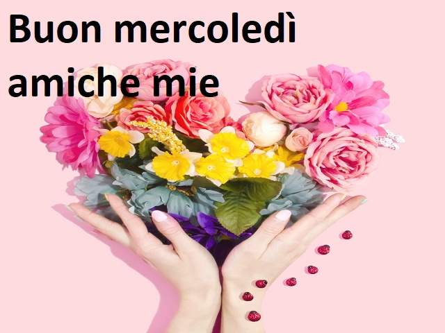 Buon mercoledì amiche mie