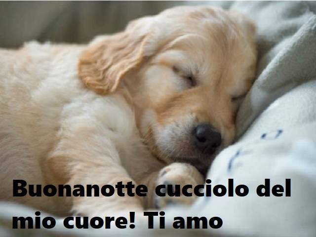 Buonanotte cucciolo del mio cuore! Ti amo
