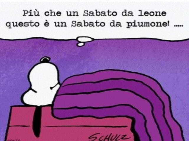 Più che un sabato da leone questo è un sabato da piumone...