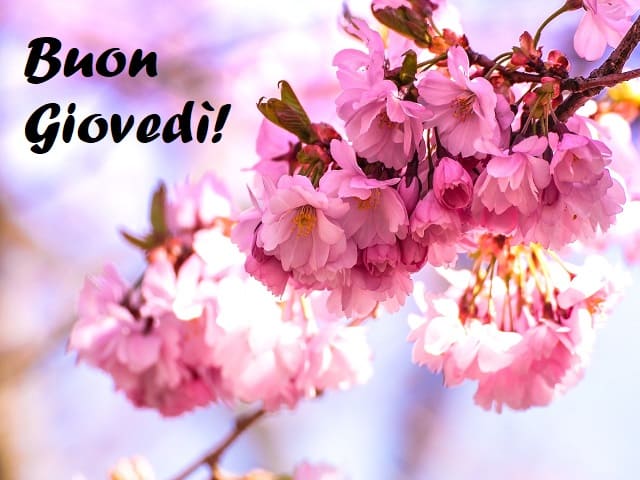 Buon Giovedì