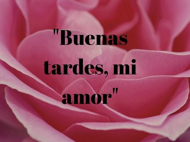 Buenas tardes mi amore. (Buon pomeriggio mio amore).