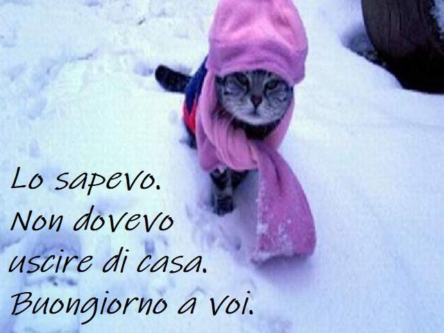 Lo sapevo. Non dovevo uscire di casa. Buongiorno a voi.