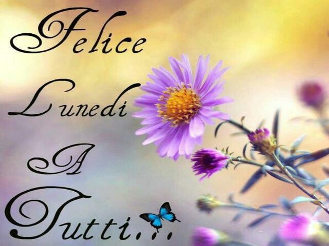 Felice lunedì a tutti...
