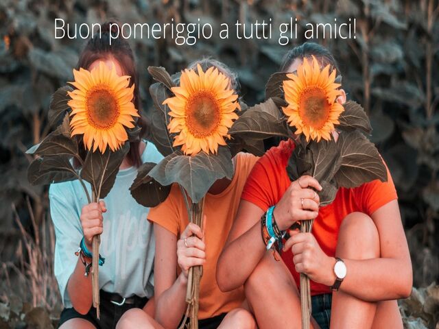 Buon pomeriggio a tutti gli amici!